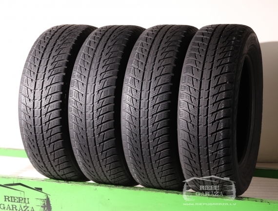 Nokian WR SUV 3
