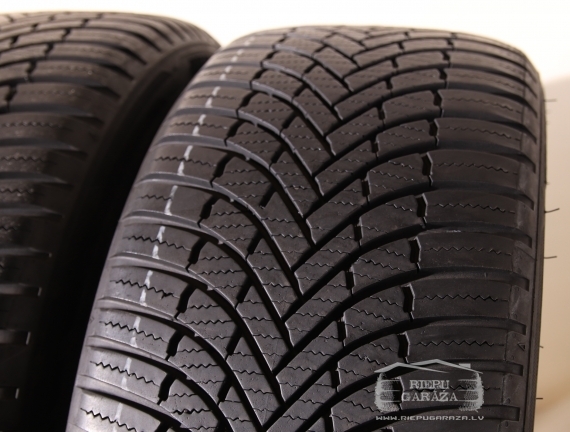 Firestone Multiseason