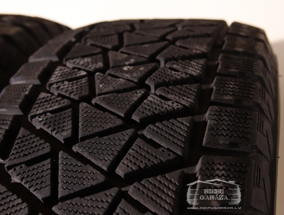 Bridgestone Blizzak DM-V2