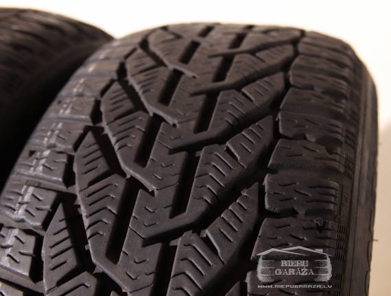 TAURUS TAURUS WINTER