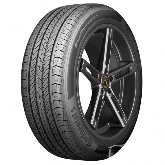 Continental Pro Contact TX DOT2019