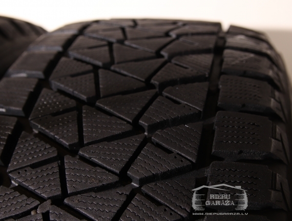 Bridgestone Blizzak DM-V2