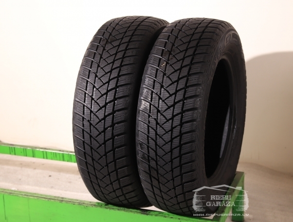 GT Radial CHAMPIRO WINTERPRO 2