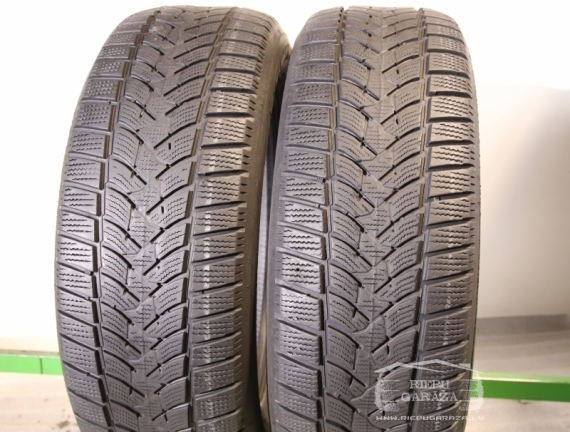 Dunlop Winter Sport 5 summer