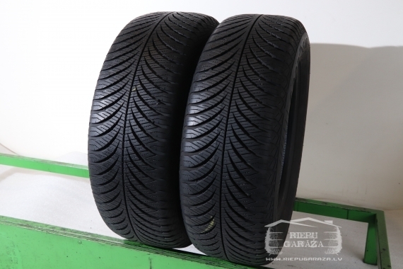 Goodyear Vector 4Seasons G2