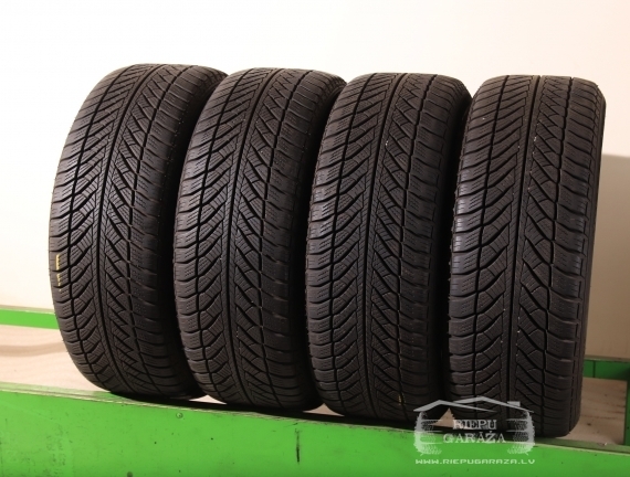 Goodyear UltraGrip Performance 2