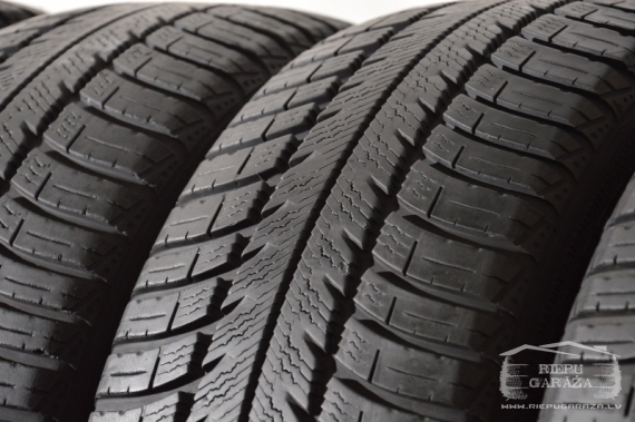 Goodyear Eagle Vector