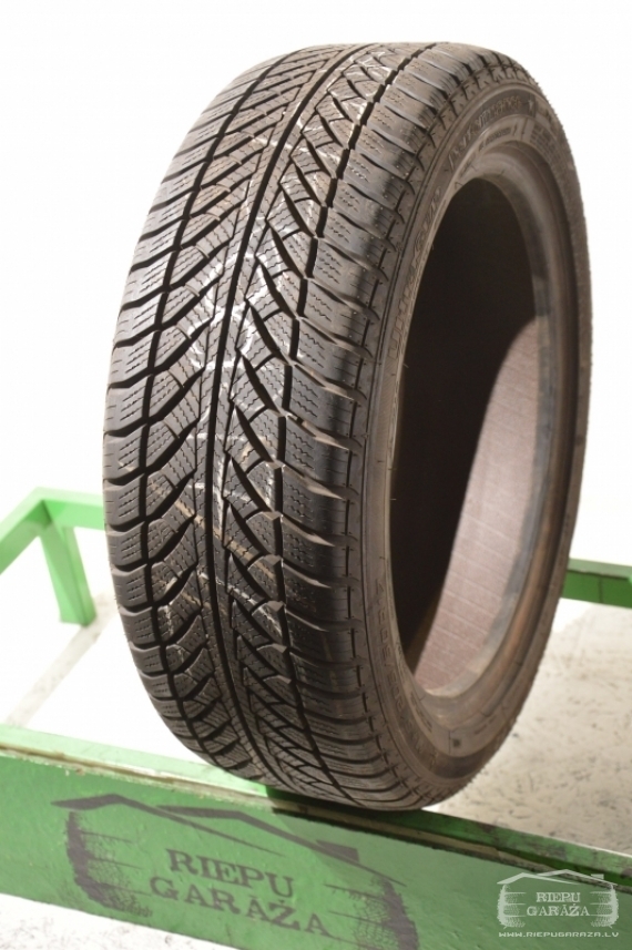 Goodyear UltraGrip Performance 2