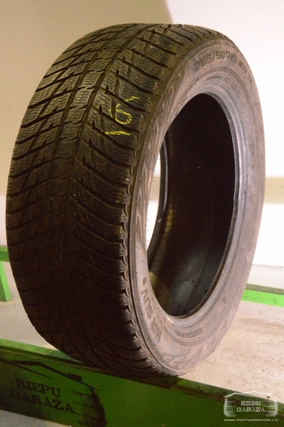 Nokian WR SUV 3